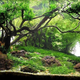 Illustration for article titled These beautiful natural landscapes are actually aquariums